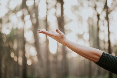 Hand, arm and tress